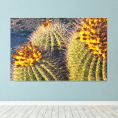 Barrel Cacti Canvas Afdruk (Insitu (Houten vloer))