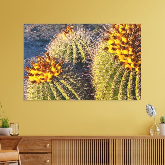 Barrel Cacti Canvas Afdruk (Insitu (Woonkamer))