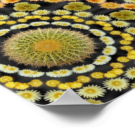 Barrel Cactus Array 1-Poster Poster (Hoek)