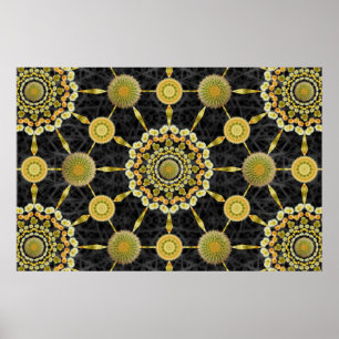 Barrel Cactus Array 1-Poster Poster