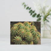 Barrel Cactus Briefkaart (Staand voorkant)