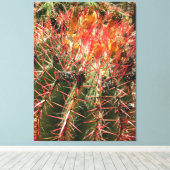 Barrel Cactus Canvas Afdruk (Insitu (Houten vloer))