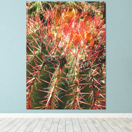 Barrel Cactus Canvas Afdruk (Insitu (Houten vloer))