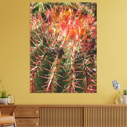 Barrel Cactus Canvas Afdruk (Insitu (Woonkamer))