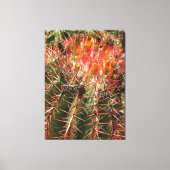 Barrel Cactus Canvas Afdruk (Voorkant)