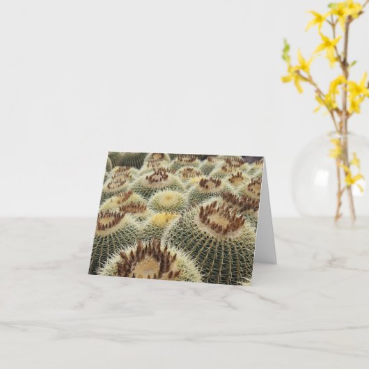 Barrel cactus card kaart (Gele Bloem)