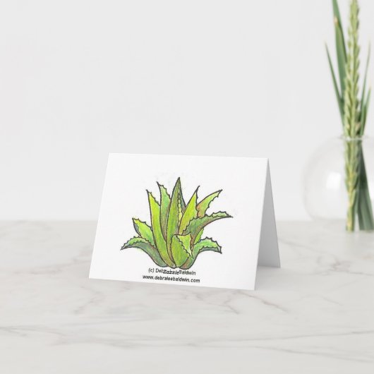 Barrel cactus card kaart (Achterkant)