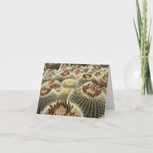 Barrel cactus card kaart (Voorkant)