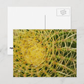Barrel Cactus Close-up Abstracte Natuur Fotografie Briefkaart (Voorkant / Achterkant)