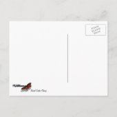 Barrel Cactus Close-up Abstracte Natuur Fotografie Briefkaart (Achterkant)