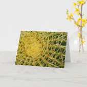 Barrel Cactus Close-up Abstracte Natuur Fotografie Kaart (Gele Bloem)