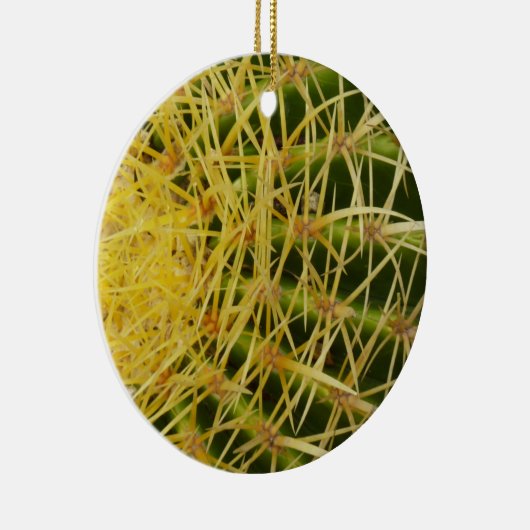 Barrel Cactus Close-up Abstracte Natuur Fotografie Keramisch Ornament (Rechts)