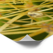 Barrel Cactus Close-up Abstracte Natuur Fotografie Poster (Hoek)