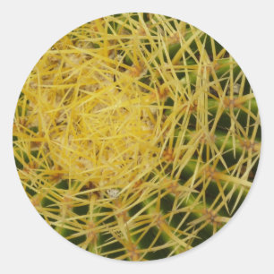 Barrel Cactus Close-up Abstracte Natuur Fotografie Ronde Sticker