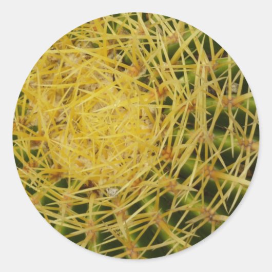 Barrel Cactus Close-up Abstracte Natuur Fotografie Ronde Sticker (Voorkant)