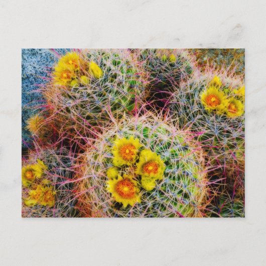 Barrel cactus close-up, Californië Briefkaart (Voorkant)