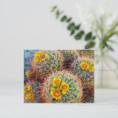 Barrel cactus close-up, Californië Briefkaart (Staand voorkant)
