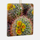 Barrel cactus close-up, Californië Keramisch Ornament (Rechts)