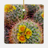 Barrel cactus close-up, Californië Keramisch Ornament (Achterkant)