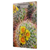 Barrel cactus close-up, Californië Klembord (Links)