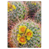 Barrel cactus close-up, Californië Klembord (Achterkant)