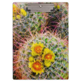 Barrel cactus close-up, Californië Klembord (Voorkant)