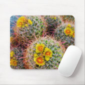 Barrel cactus close-up, Californië Muismat (Met muis)