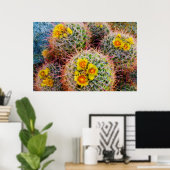 Barrel cactus close-up, Californië Poster (Thuiskantoor)