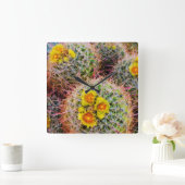 Barrel cactus close-up, Californië Vierkante Klok (Huis)