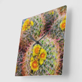 Barrel cactus close-up, Californië Vierkante Klok (Hoek)