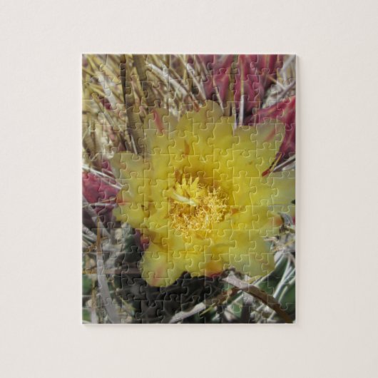 Barrel Cactus Fishhaakgeel Legpuzzel (Verticaal)