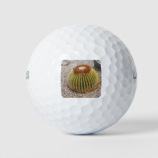 Barrel Cactus Golfballen (Voorkant)