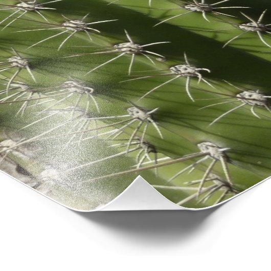 Barrel Cactus I Desert Foto Afdruk (Hoek)