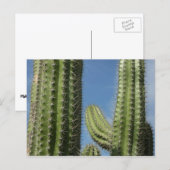 Barrel Cactus I Desert Foto Briefkaart (Voorkant / Achterkant)