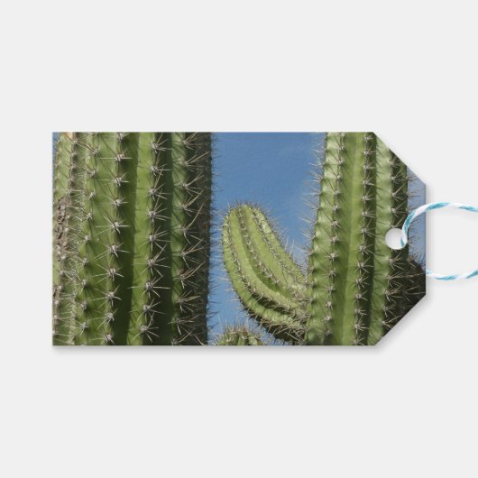 Barrel Cactus I Desert Foto Cadeaulabel (Voorkant (Horizontaal))