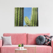 Barrel Cactus I Desert Foto Canvas Afdruk (Insitu (Woonkamer))