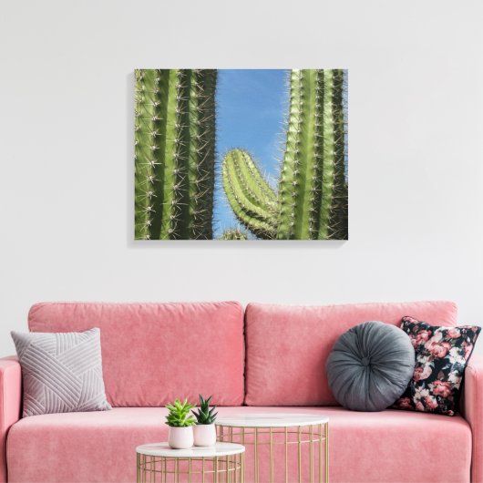 Barrel Cactus I Desert Foto Canvas Afdruk (Insitu (Woonkamer))