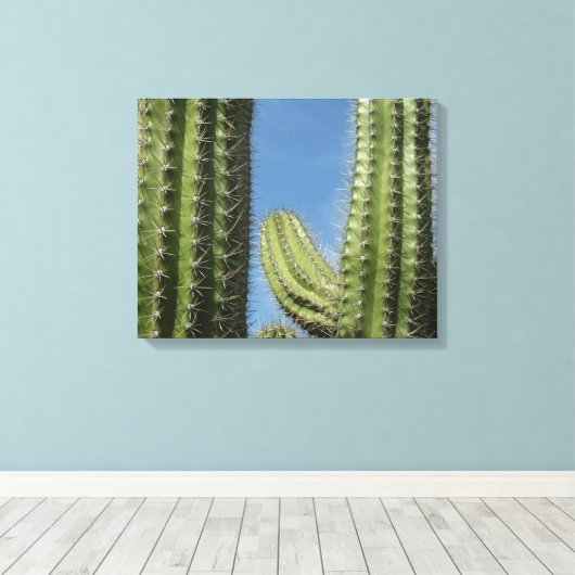 Barrel Cactus I Desert Foto Canvas Afdruk (Insitu (Houten vloer))