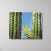 Barrel Cactus I Desert Foto Canvas Afdruk (Voorkant)