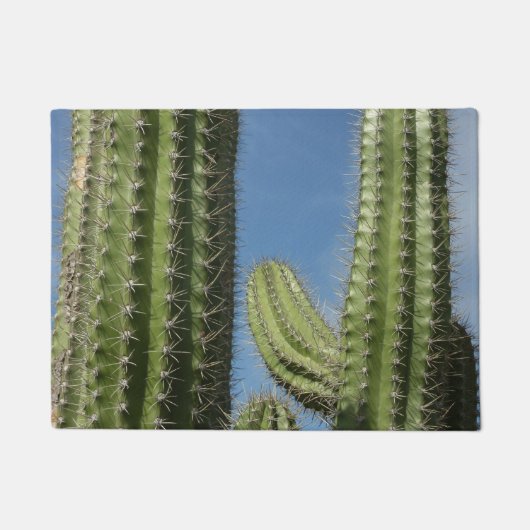 Barrel Cactus I Desert Foto Deurmat (Voorkant)