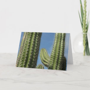 Barrel Cactus I Desert Foto Kaart