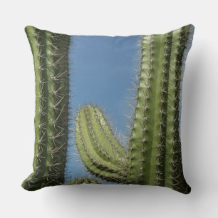 Barrel Cactus I Desert Foto Kussen