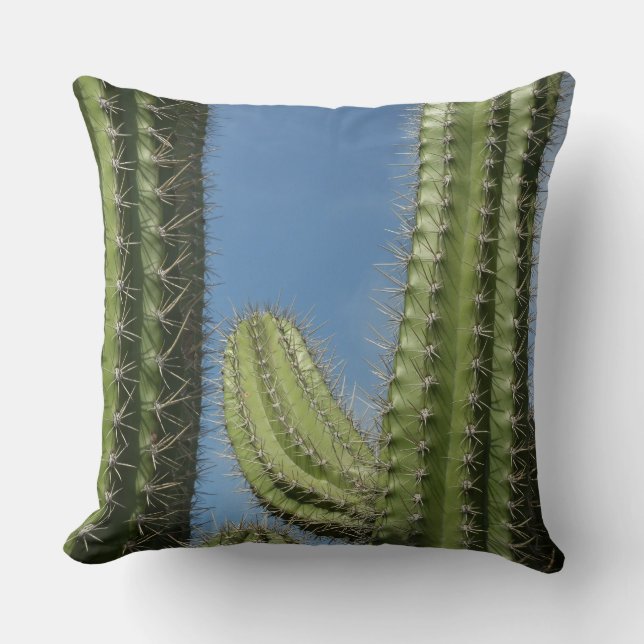 Barrel Cactus I Desert Foto Kussen (Voorkant)