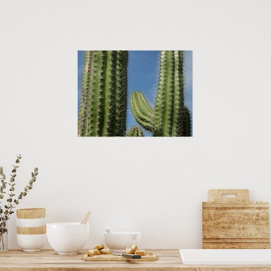 Barrel Cactus I Desert Foto Poster (Keuken)