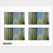 Barrel Cactus I Desert Foto Rechthoekige Sticker (Vel)