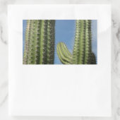 Barrel Cactus I Desert Foto Rechthoekige Sticker (Tas)