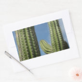 Barrel Cactus I Desert Foto Rechthoekige Sticker (Envelop)