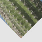 Barrel Cactus I Desert Foto Tissuepapier (Detail)