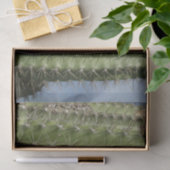 Barrel Cactus I Desert Foto Tissuepapier (Geschenk)