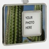 Barrel Cactus I Desert Foto Verzilverd Omlijst Ornament (Rechts)